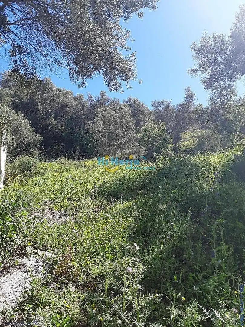 Terreni e lotti in vendita a Torrox Pueblo, imagen 8
