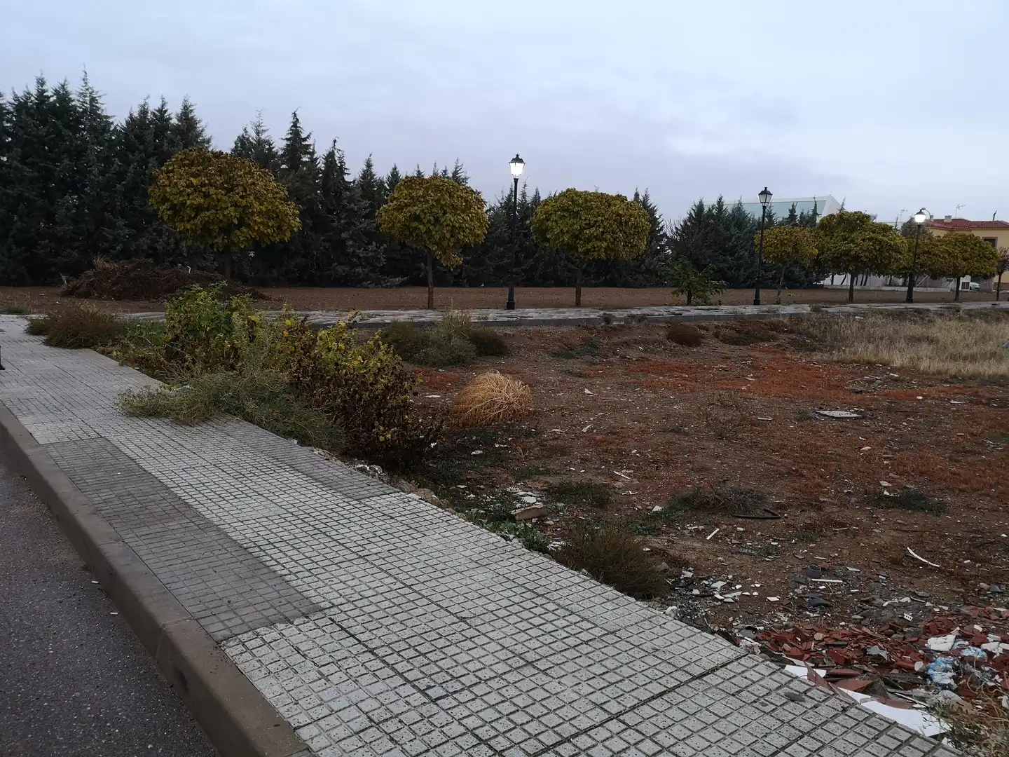 Land for sale in Montijo