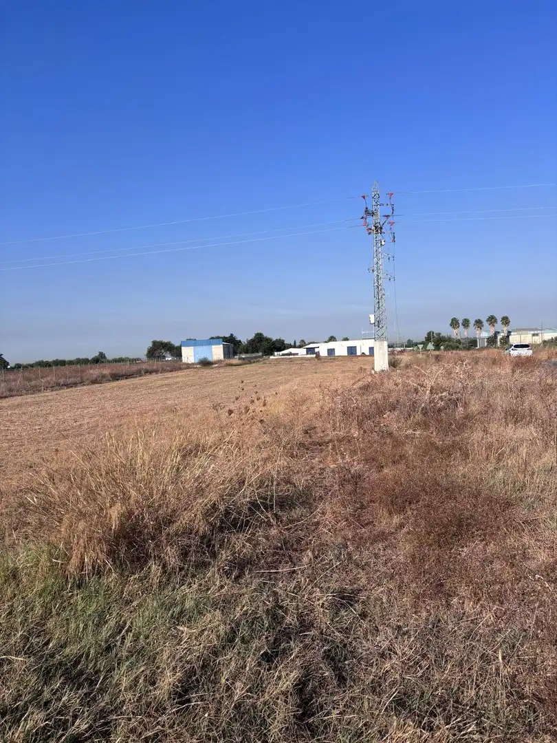 Terreny rústic en venda a Los Palacios y Villafranca, imagen 11