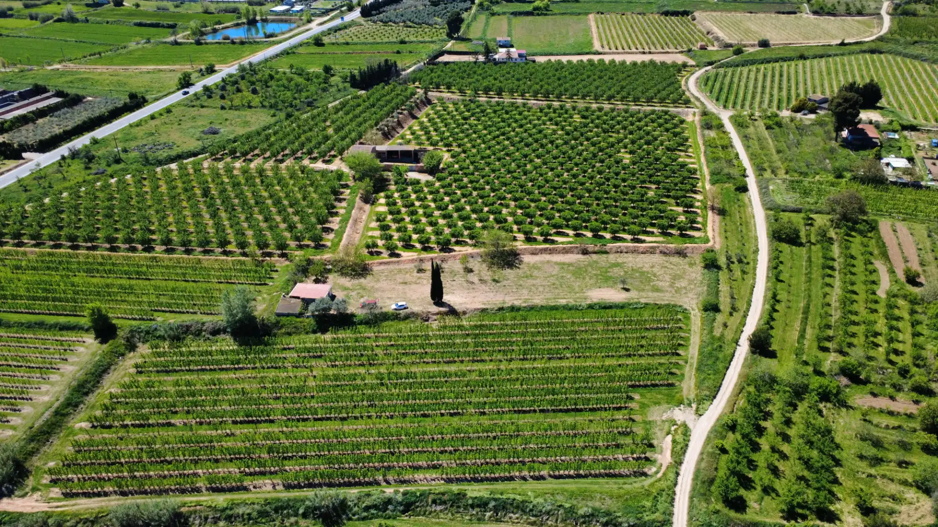 Land for sale in Juneda