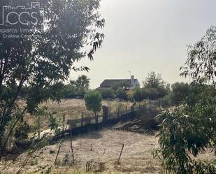 Finca rústica en venda en Almonte amb Aire condicionat i Piscina