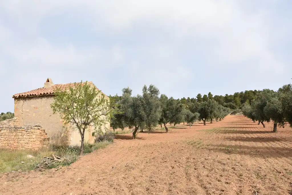 Terreno en venta en Arens de Lledó