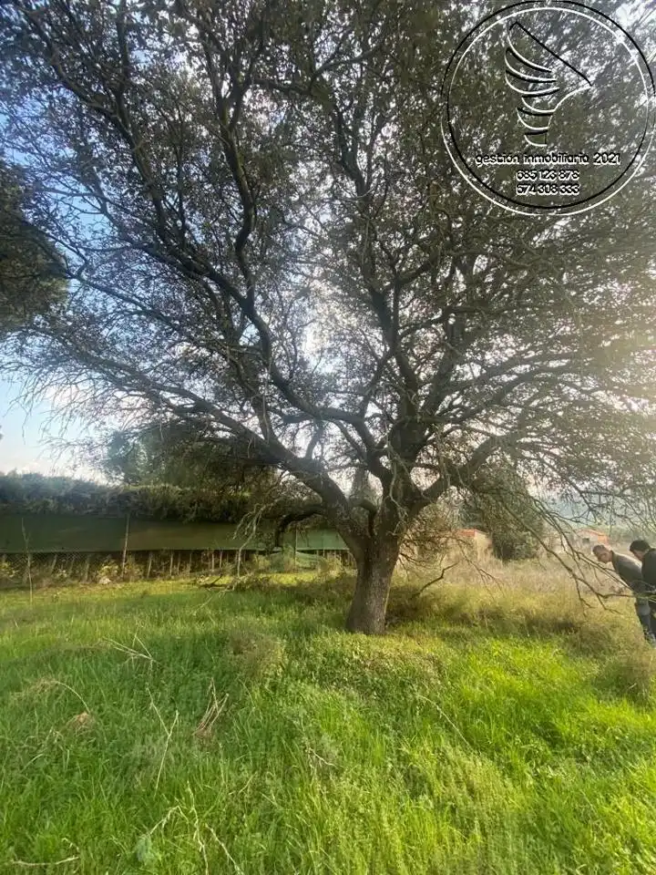 Terreni e lotti in vendita a Urbanización Arenal Blanco, imagen 5