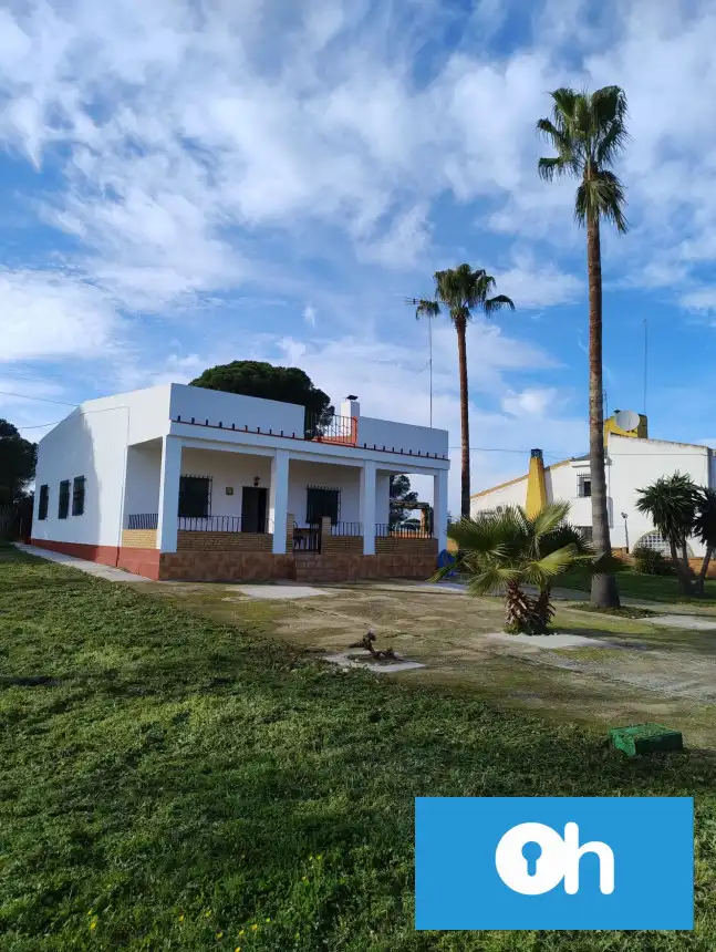 Vista exterior de Finca rústica en venta en Bonares