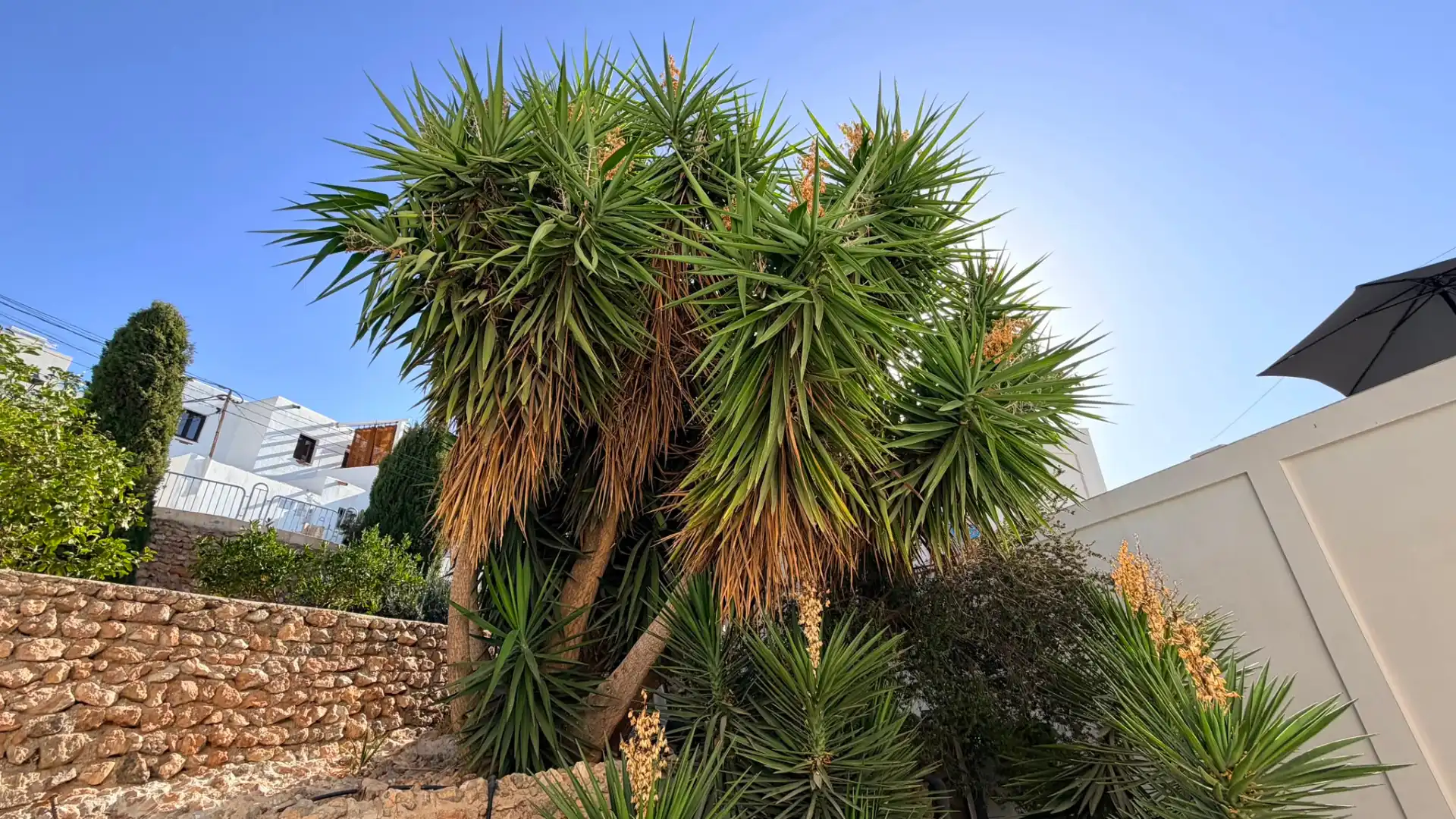 Jardí de Casa o xalet en venda en Níjar amb Aire condicionat, Terrassa i Moblat