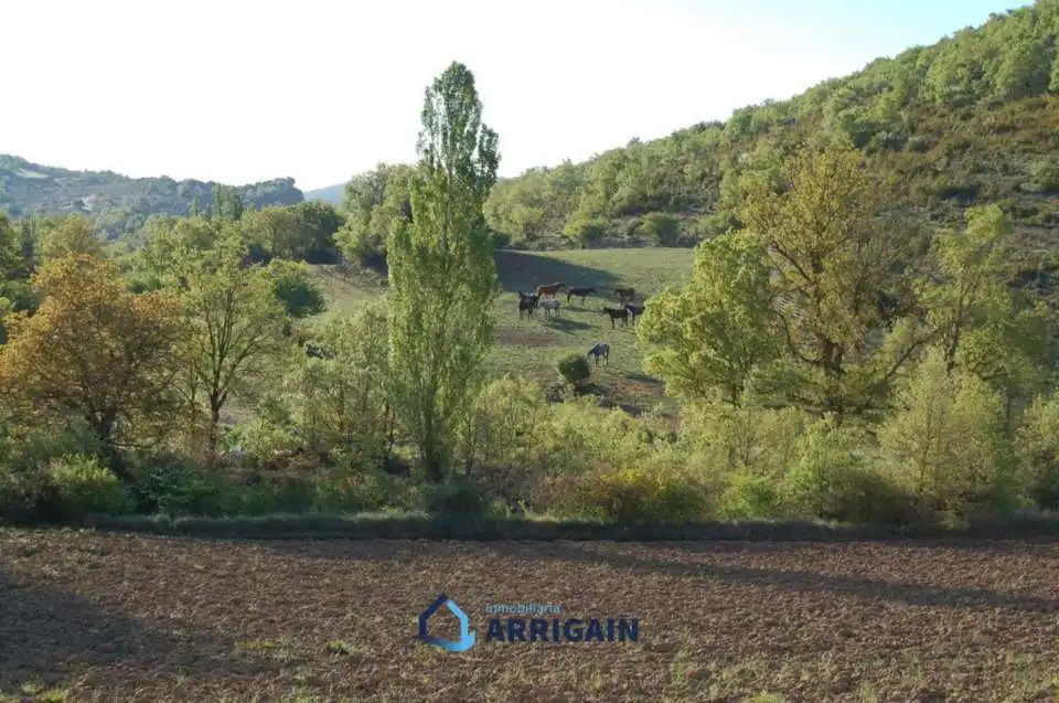 Casa o chalet en venta en La Moraleja con Jardín privado
