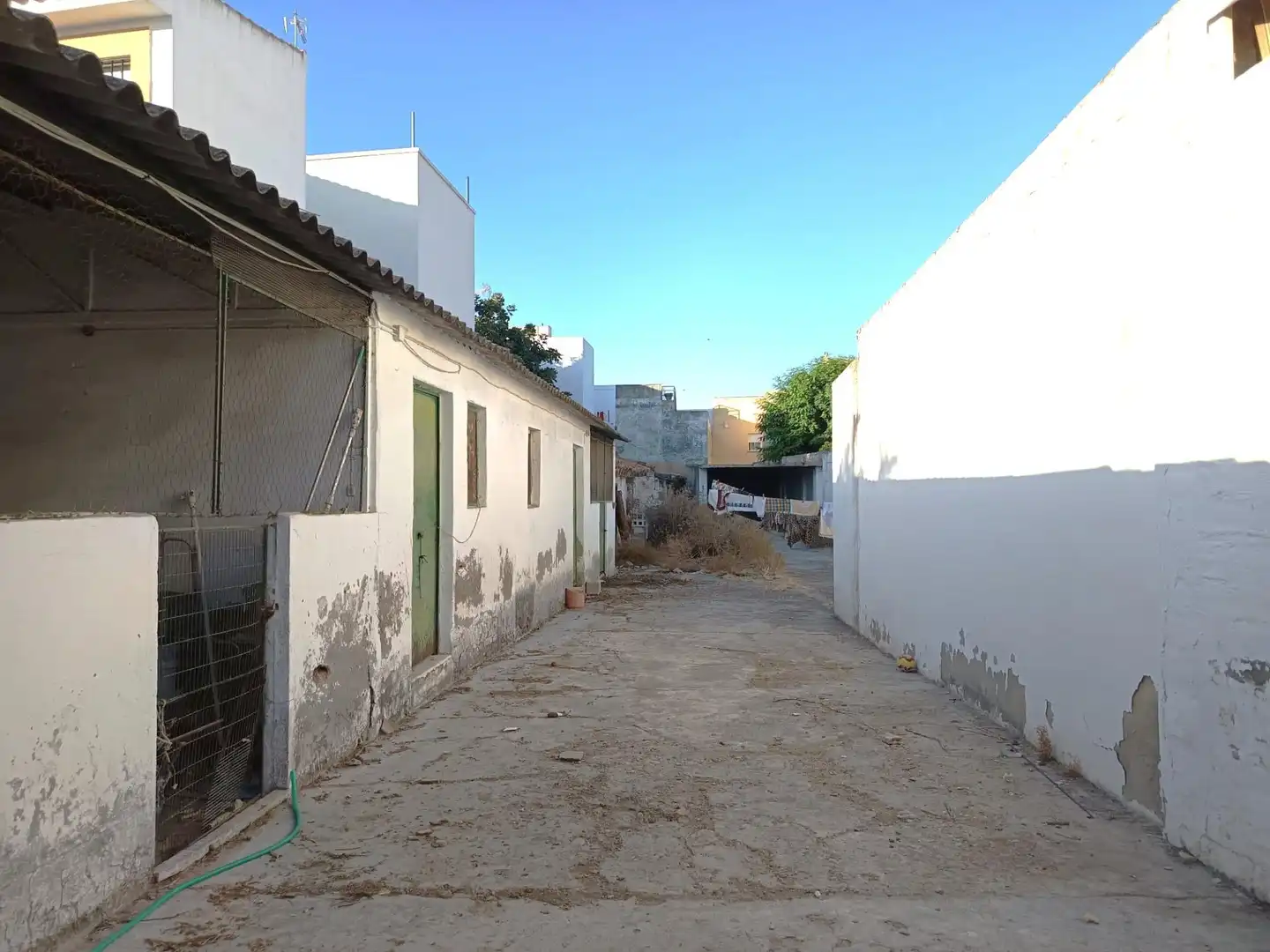 Vista exterior de Casa o chalet en venta en Castilleja de la Cuesta
