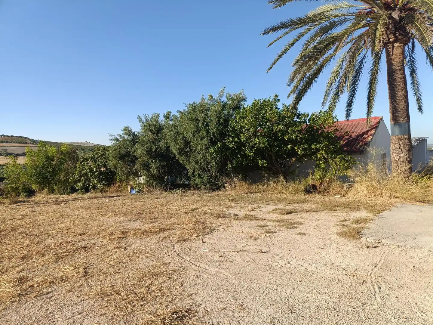 Casa rústica en venda a Arcos de la Frontera, imagen 6