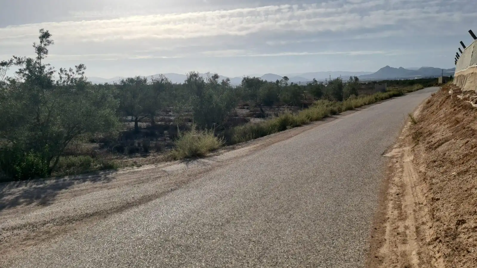 Terrenos y solares en venta en Monforte del Cid, imagen 3