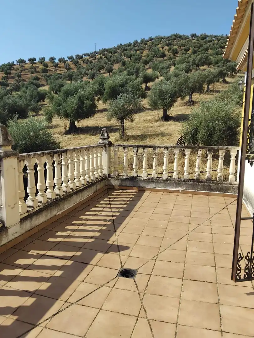 Landhaus mit Pool zum Verkauf in Pozoblanco, imagen 6