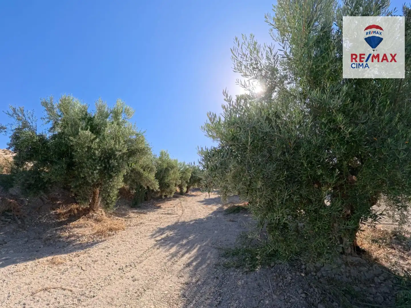 Finca rústica en venda en Benamaurel