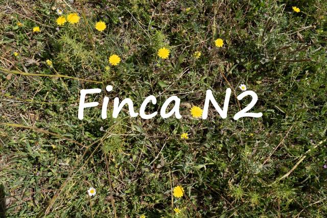 Terreno en Venta en Polígono Polígono 2 Parcela 34 ALBERQUILLAS. SOPOR, 2 en Soportújar