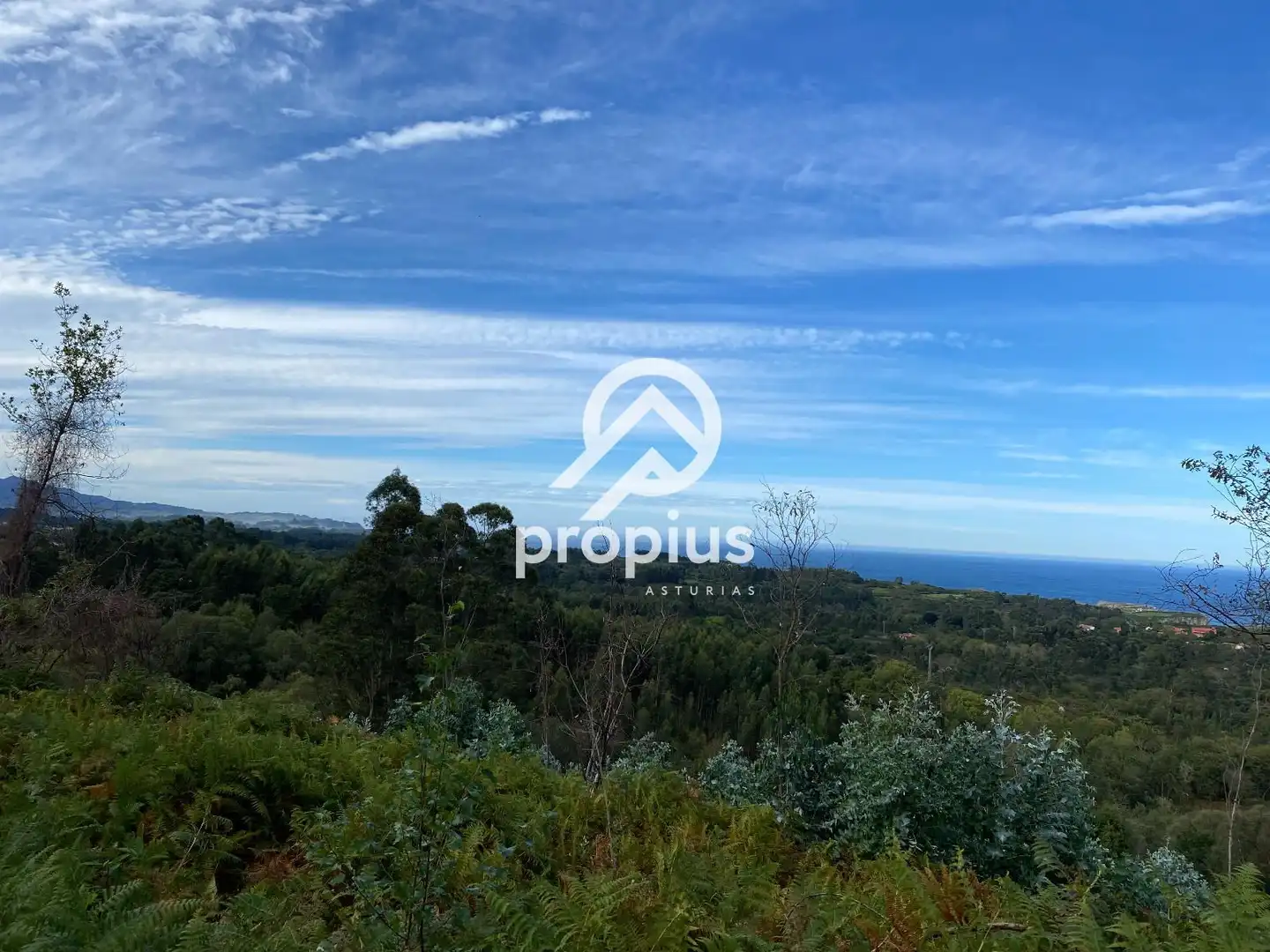 Land for sale in Llanes