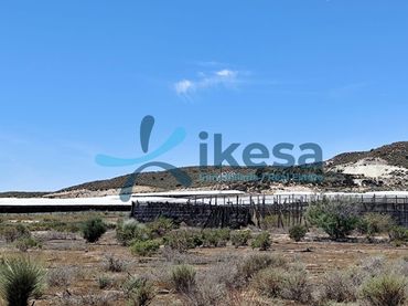 Terreno rustico in vendita a Sorbas