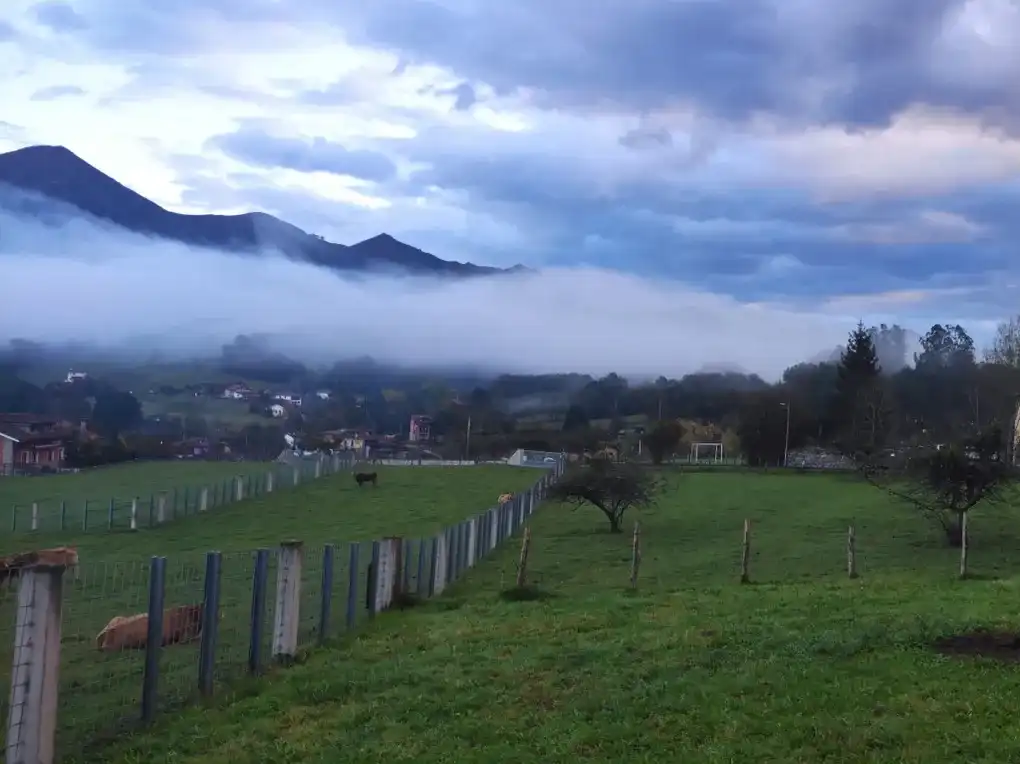 Exterior view of Houses for sale in Cangas de Onís  with Private garden and Terrace