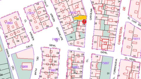 SE VENDE ESTUPENDO SOLAR ZONA PARQUE NORTE, immagine 3