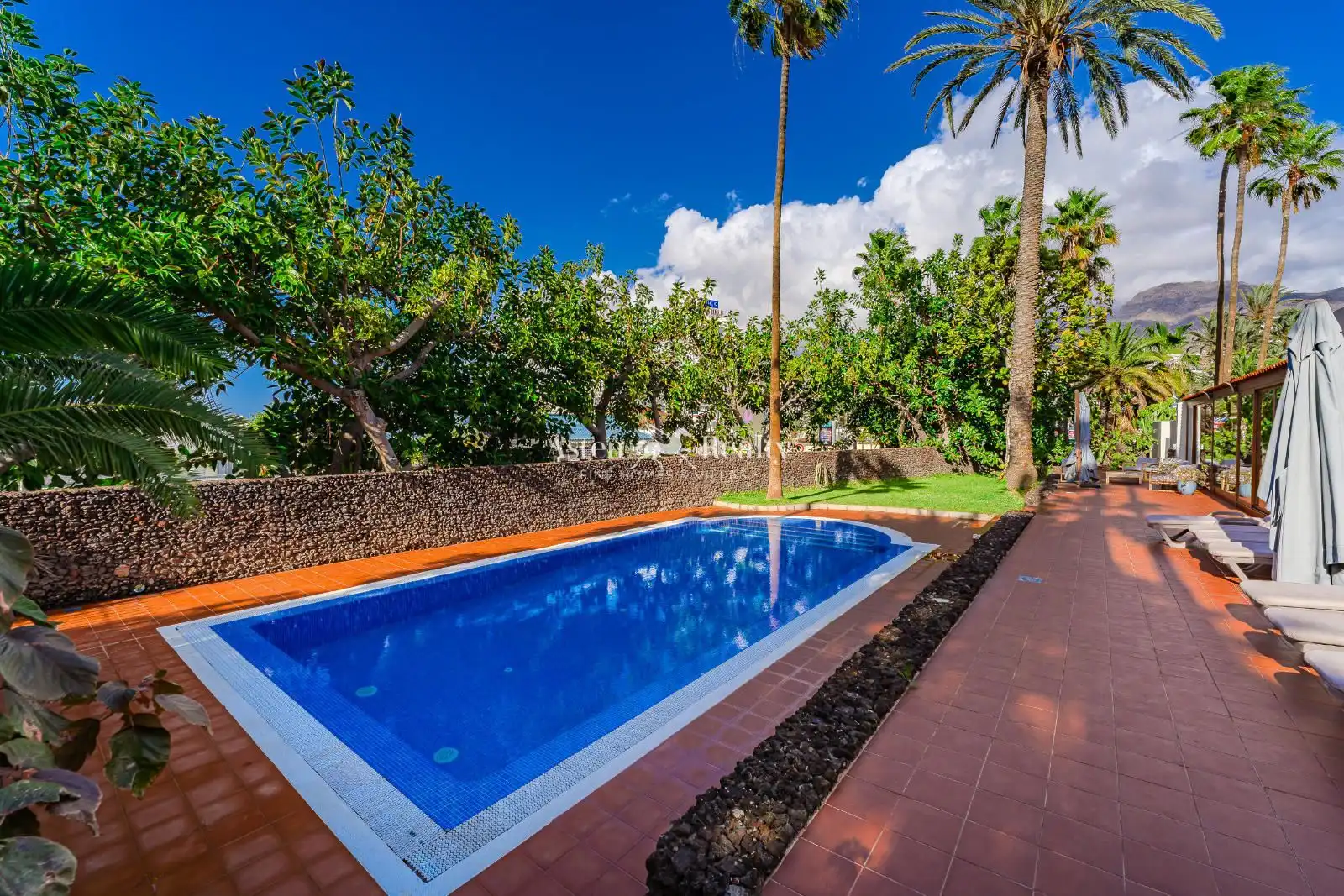 Garden of Houses for sale in Adeje  with Air Conditioner, Terrace and Swimming Pool