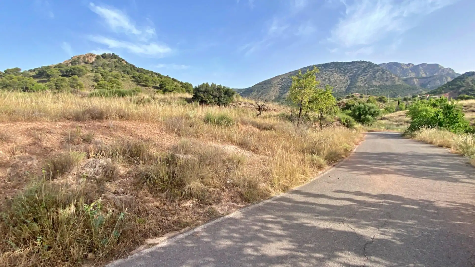 Country homes for sale in Totana