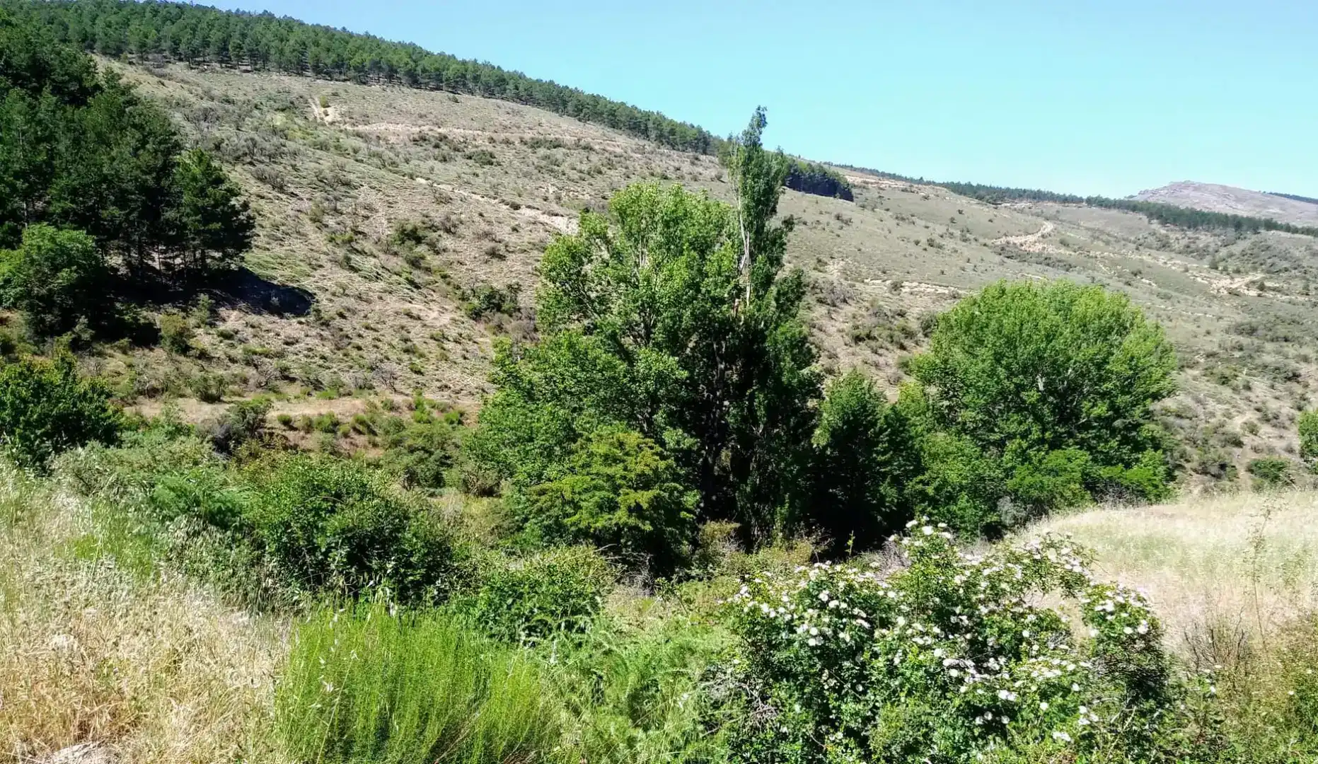 Terreno en venta en Velefique, Almería