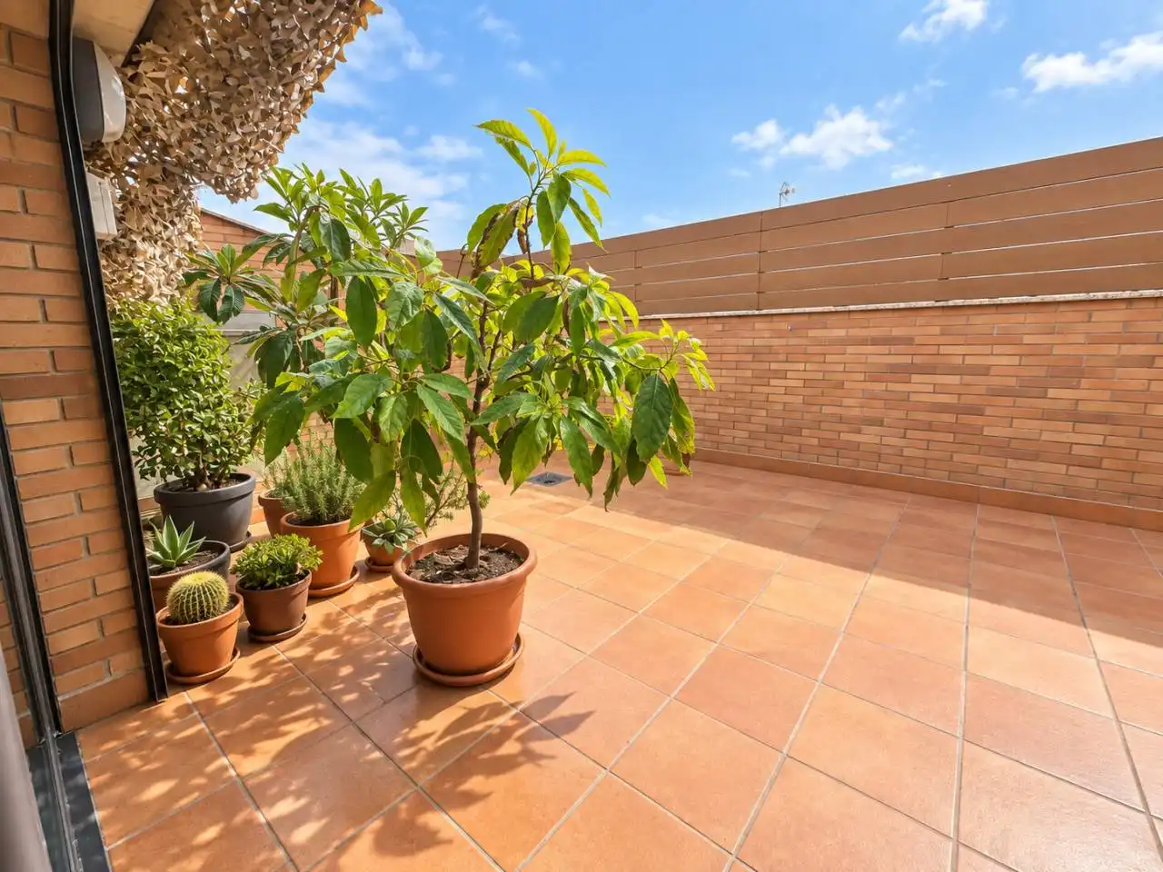Appartamento con terrazza in vendita a Calle Goethe, imagen 2
