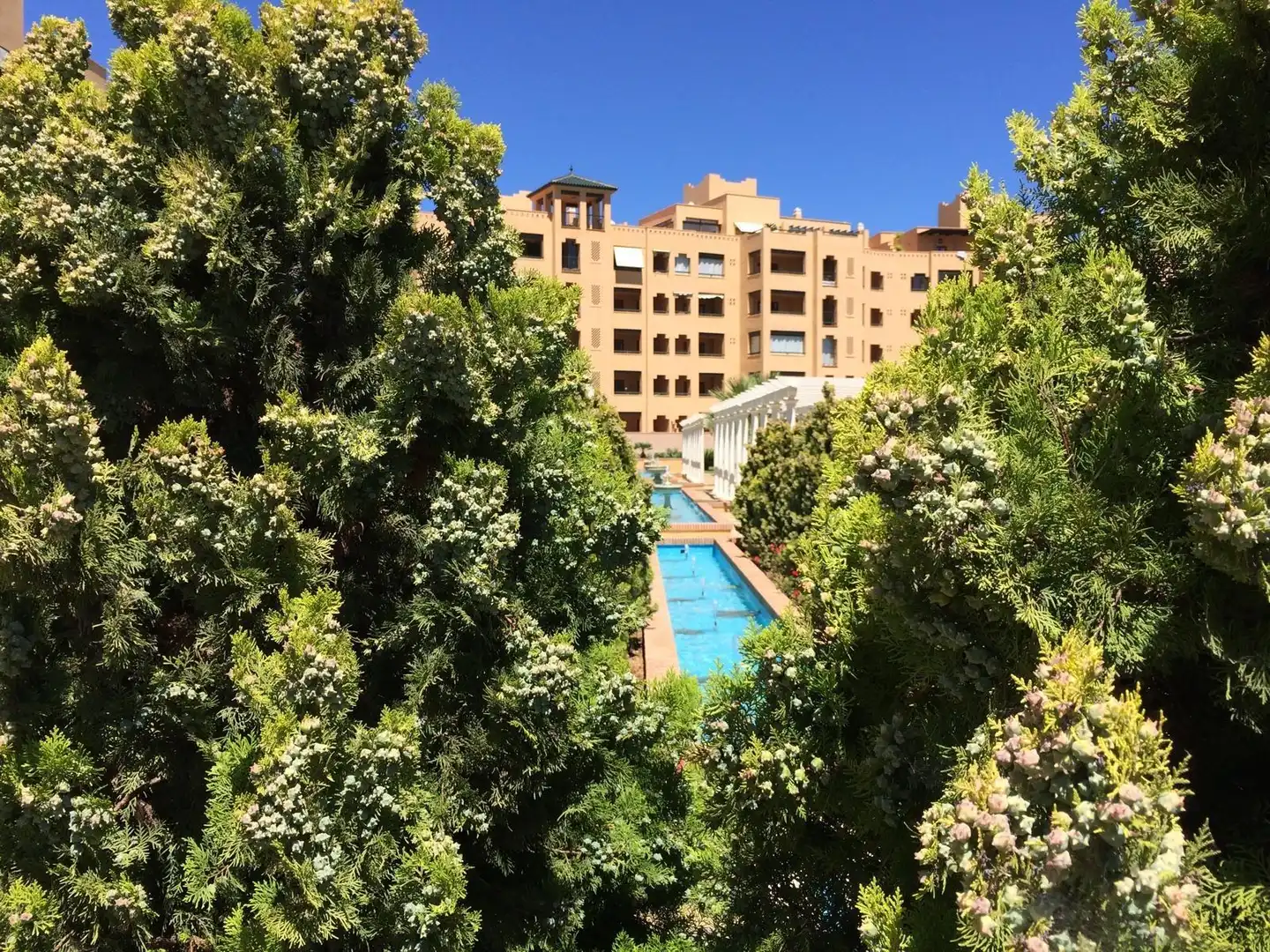 Piscina de Apartamento de alquiler en Ayamonte con Terraza, Amueblado y Piscina comunitaria