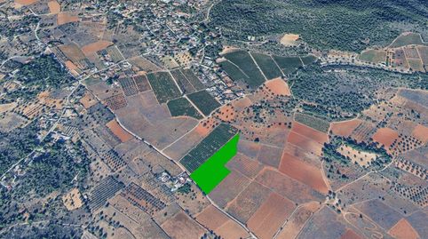 Solvia Inmobiliaria  Suelo Rústico Vilamarxant