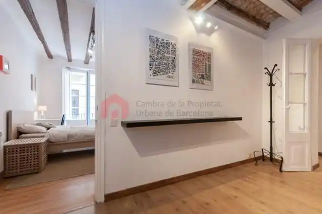Flat with terrace for sale in Ciutat Vella, imagen 14