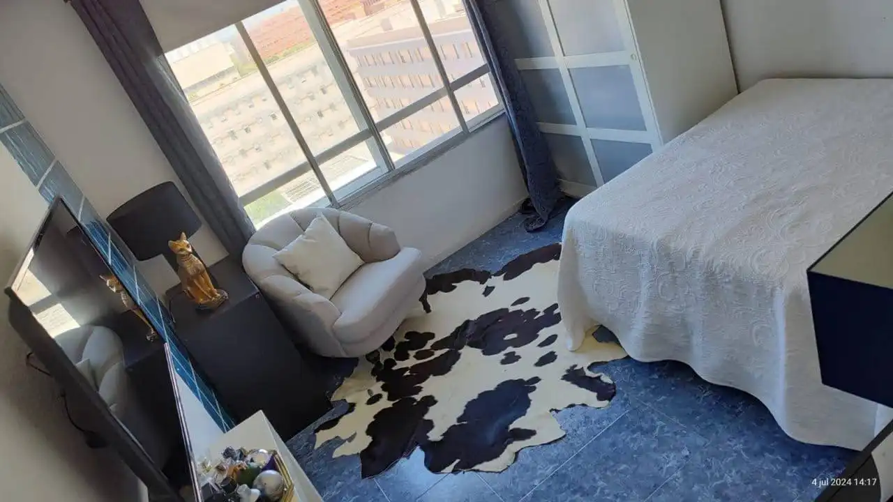 Flat with terrace to rent in Plaza de Honduras, imagen 7