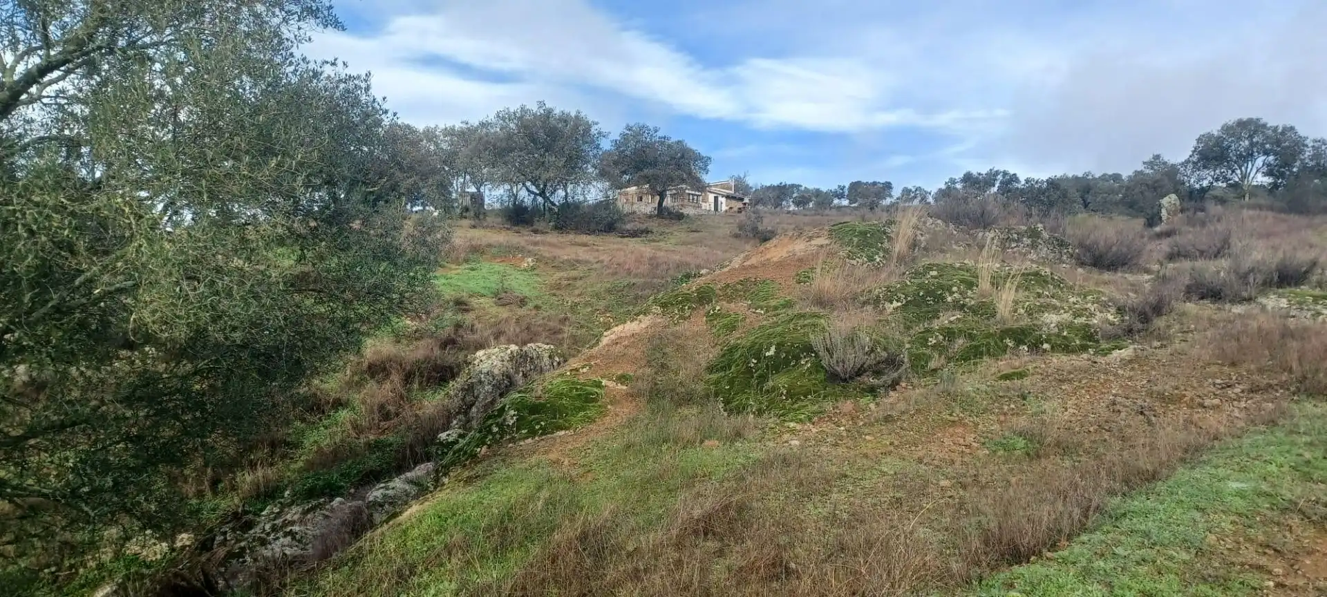 Terreny rústic en venda a Cazalla de la Sierra, imagen 38