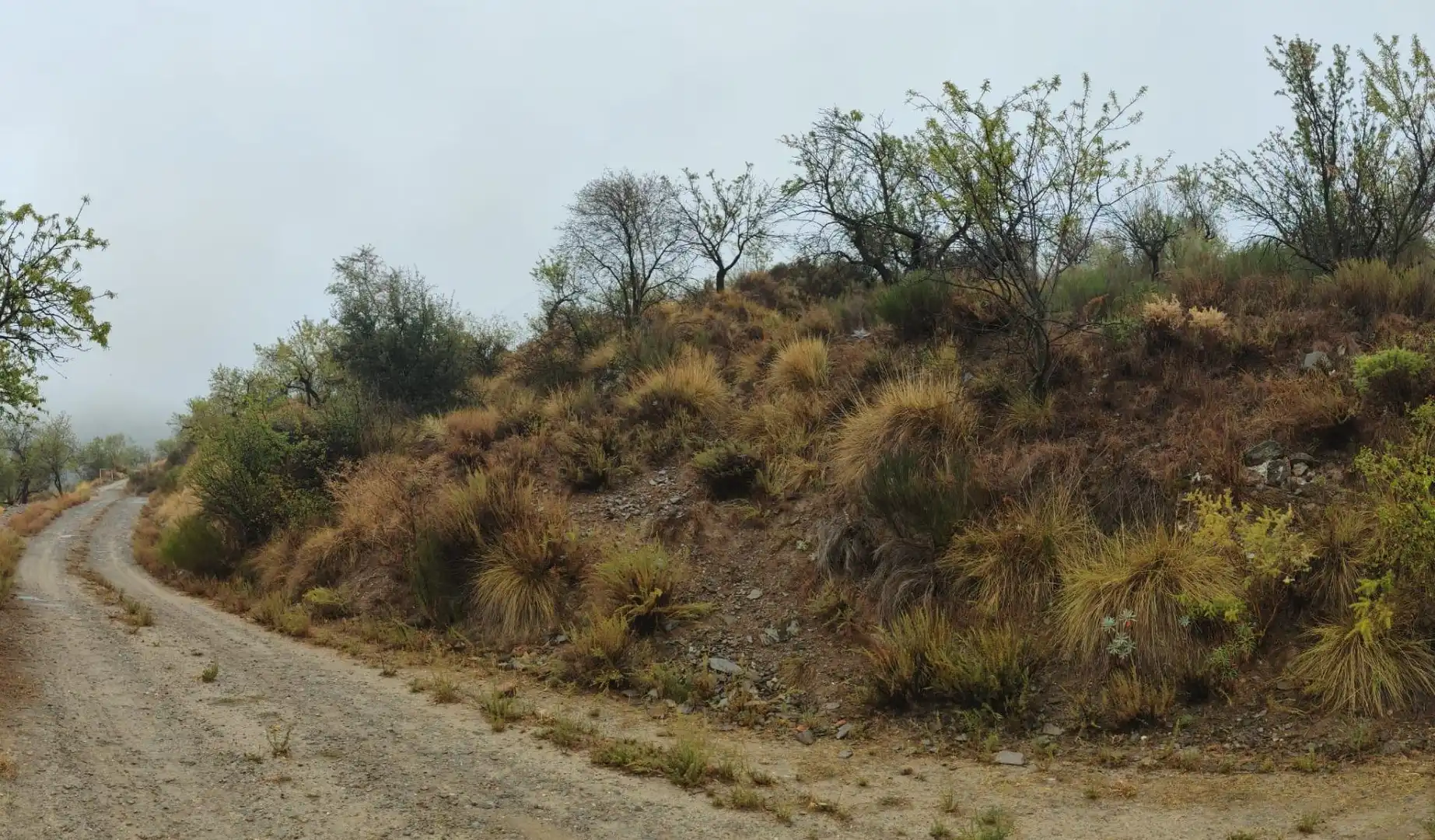 Residencial en venda en Sierro