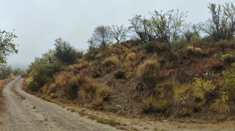 VENTA EN SIERRO  ALMERÍA  DE TERRENO PARA CAZA., immagine 5