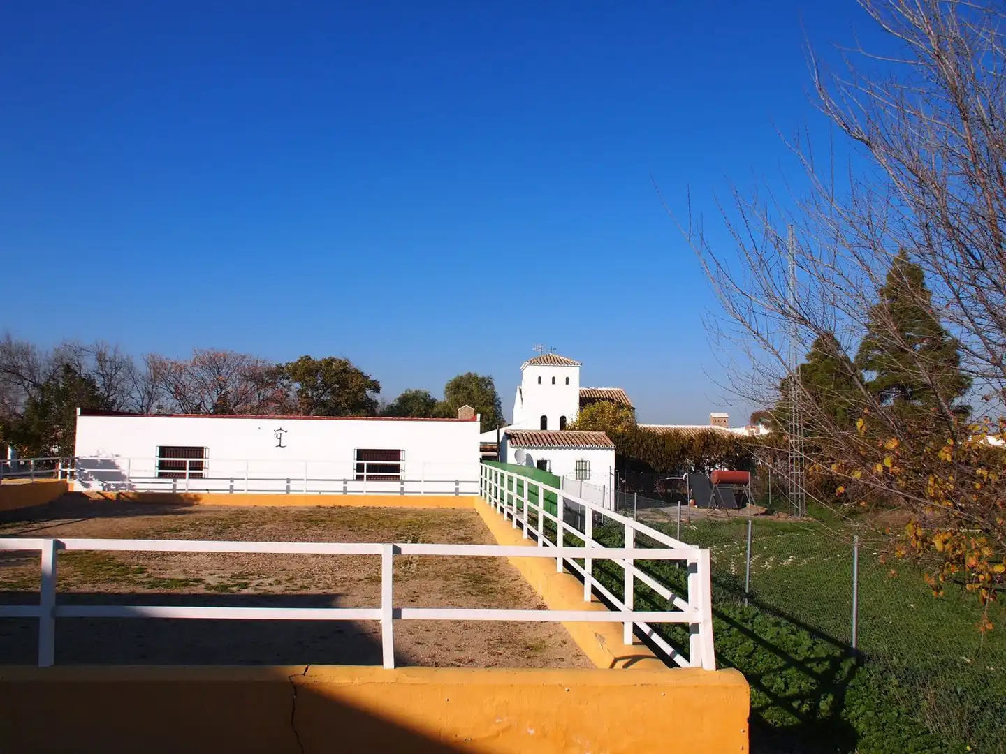 Exterior view of Country homes for sale in Marchena  with Terrace and Swimming Pool