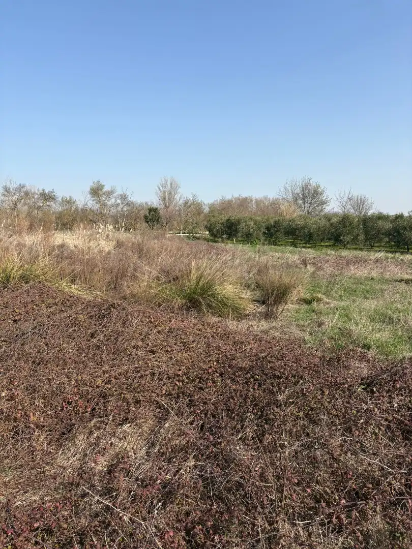 Rural land for sale in Agoncillo, imagen 3