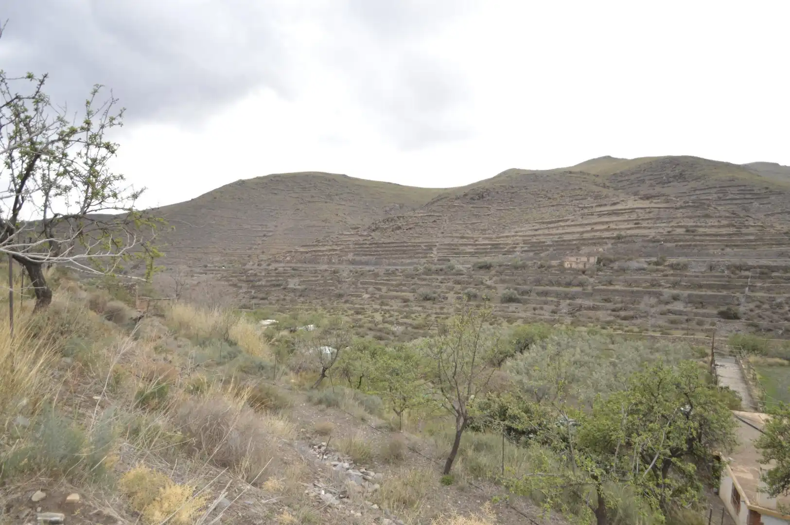 Finca rústica en venta en Gérgal