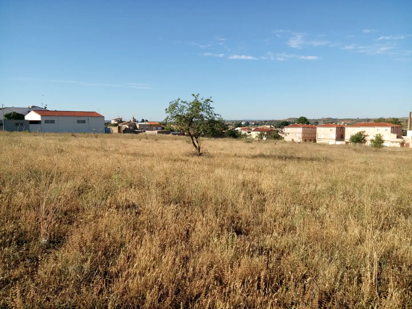 Rural land for sale in C/ Pasarela, imagen 8