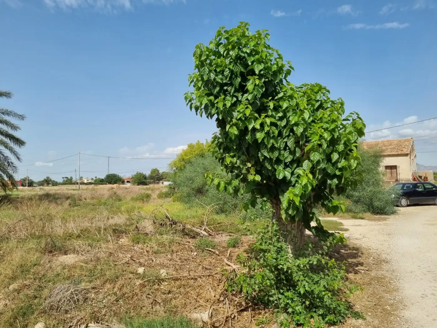 Casa en venda a 03150