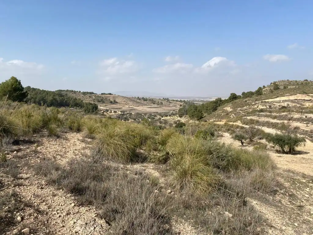 Finca rústica en venta en Jumilla con Jardín privado y Trastero