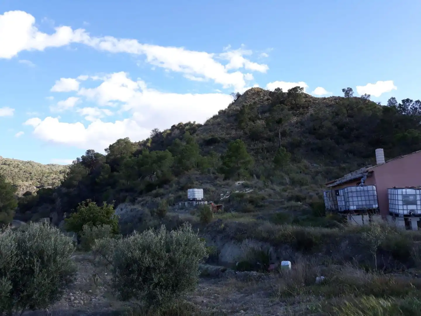 Country homes for sale in Abanilla