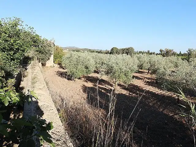 Maison rustique avec jardin à vendre à Ctra. La Senia, imagen 32