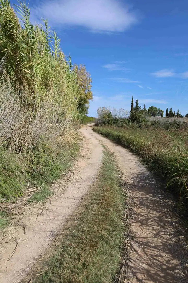 Terreni e lotti in vendita a Camino DISEMINADOS, imagen 2