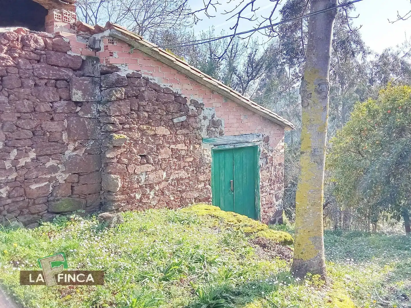 Vista exterior de Casa o xalet en venda en Villaviciosa amb Calefacció, Terrassa i Traster