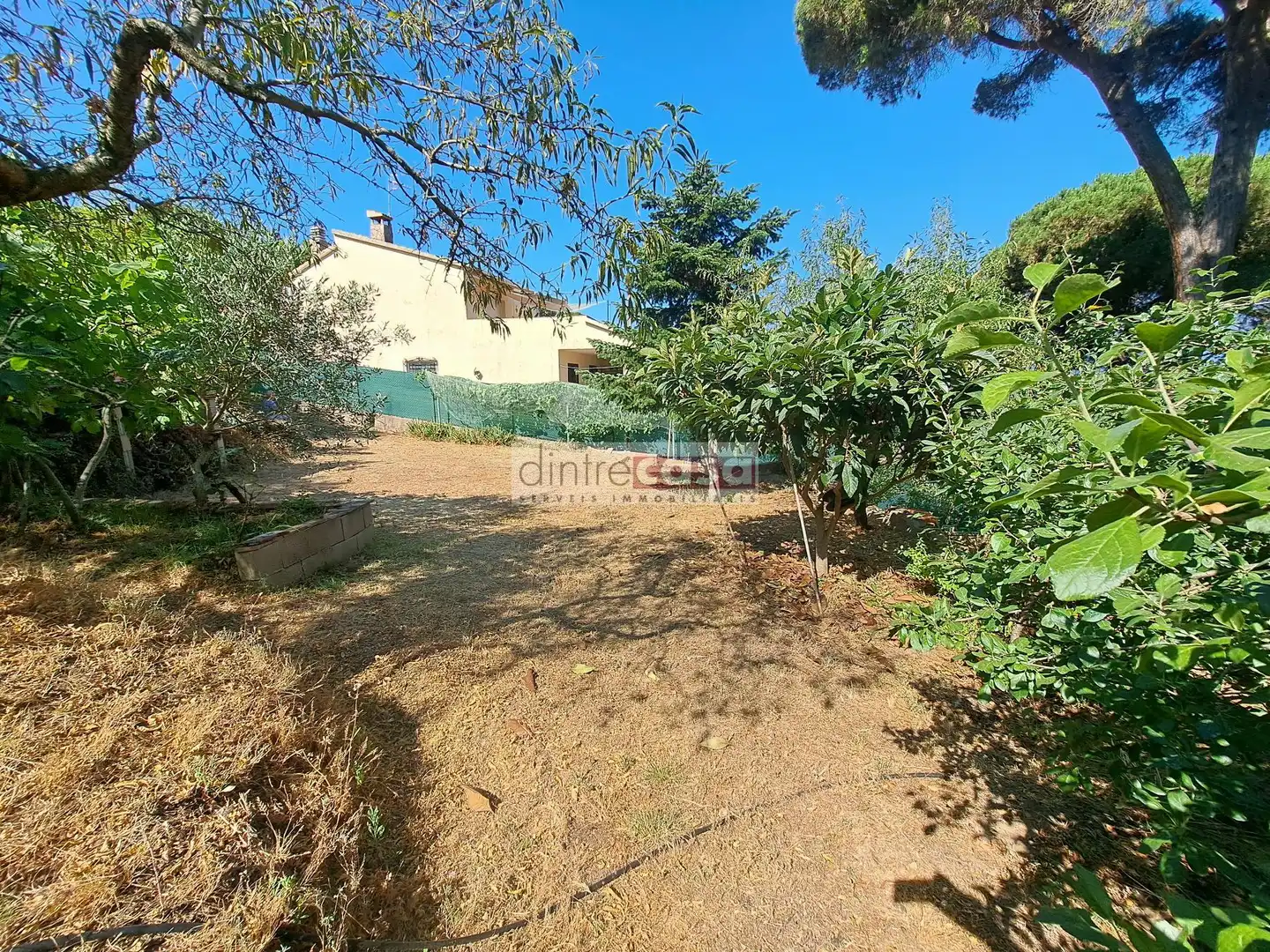 Residential land for sale in Mas Mora - Sant Daniel, imagen 4