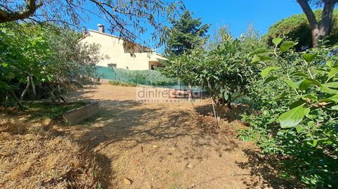 parcela con  gua, caseta, vallado, arboles frutales , barbacoa., imatge 4