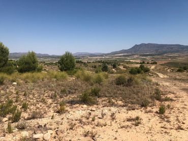Terreno rustico in vendita a Jumilla