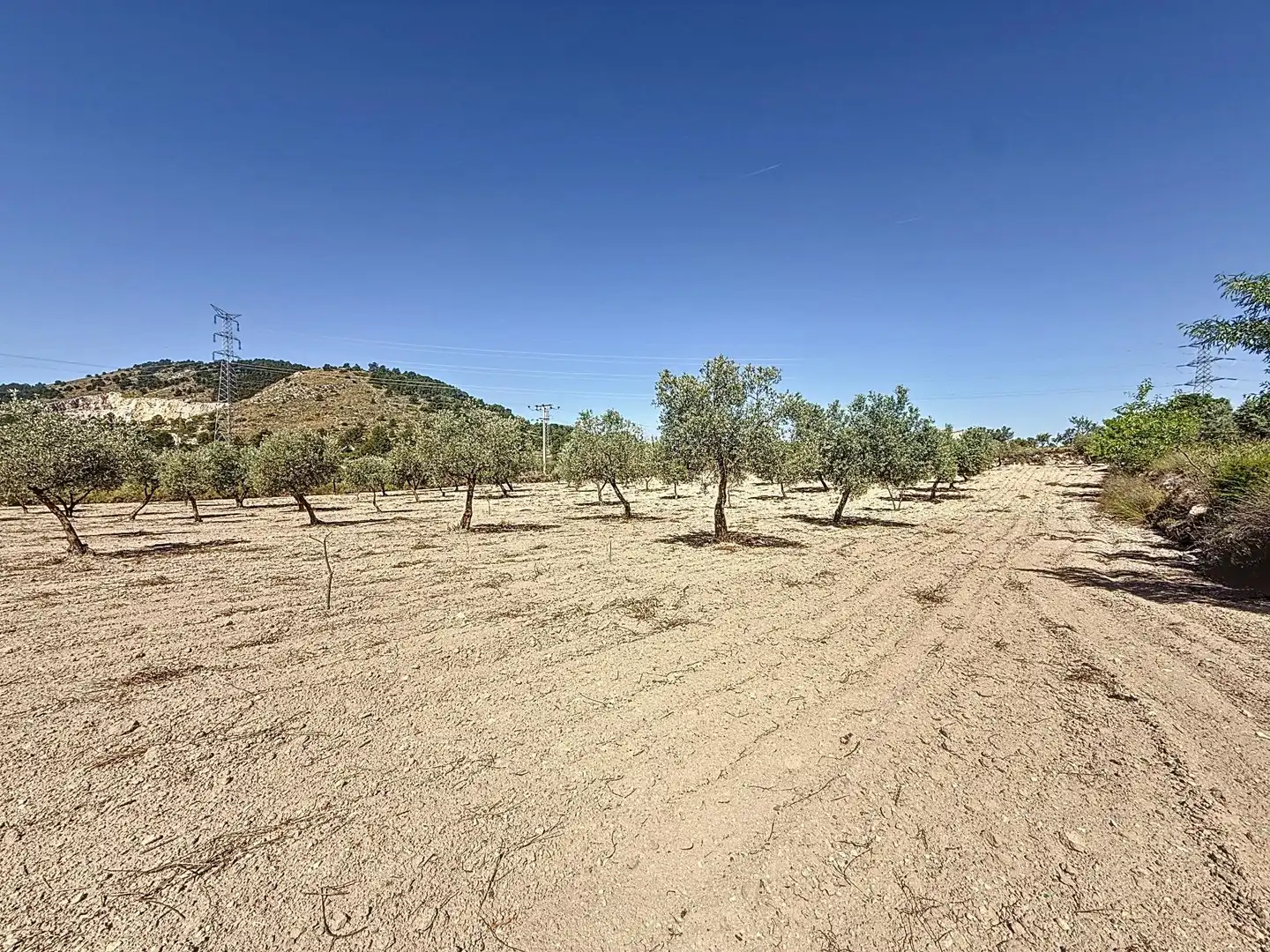 Terreno en venta en Biar