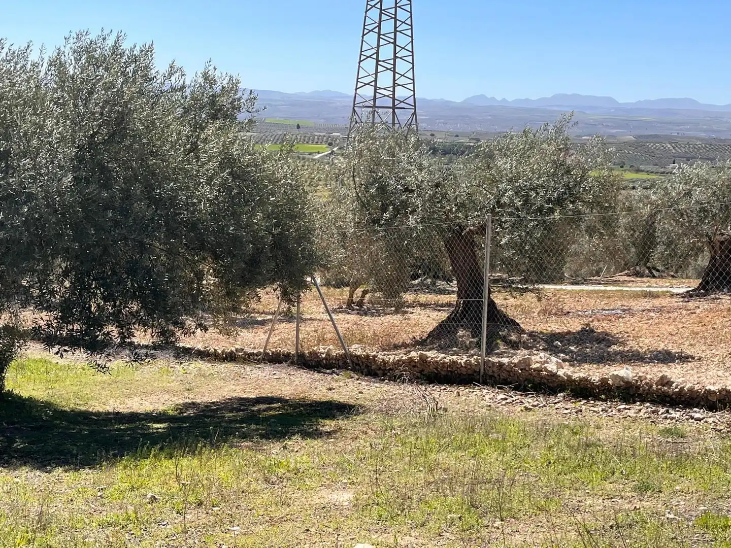 Rustikales Grundstück zum Verkauf in Íllora, imagen 12