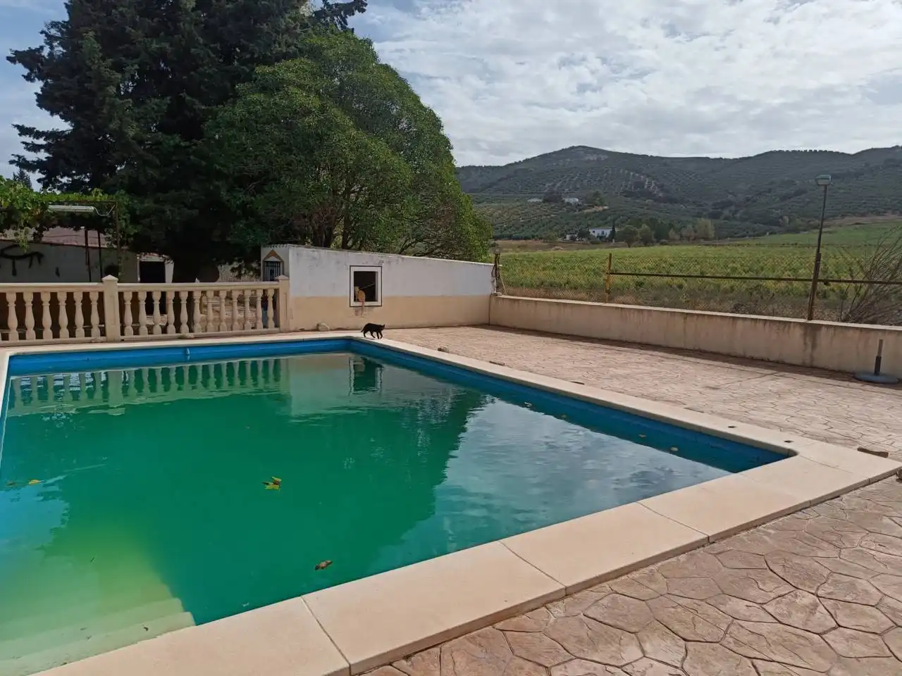 Schwimmbecken von Country house zum Verkauf in Montefrío mit Klimaanlage, Privatgarten und Terrasse
