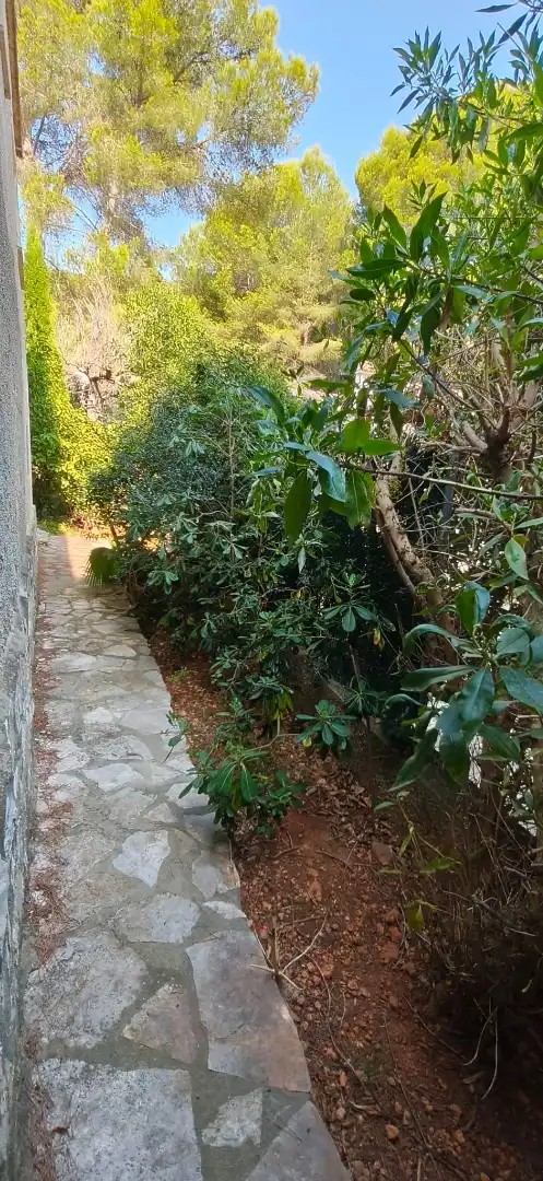 Villa mit Pool zum Verkauf in Calle Isla Columbreta Grande, imagen 76