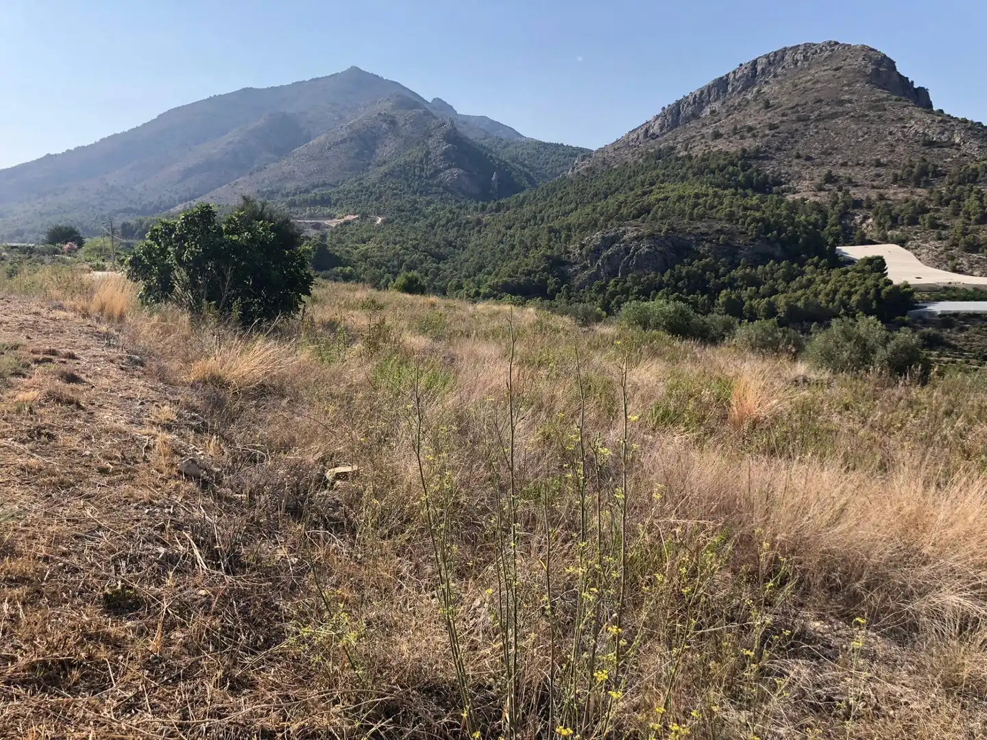 Land for sale in Bolulla