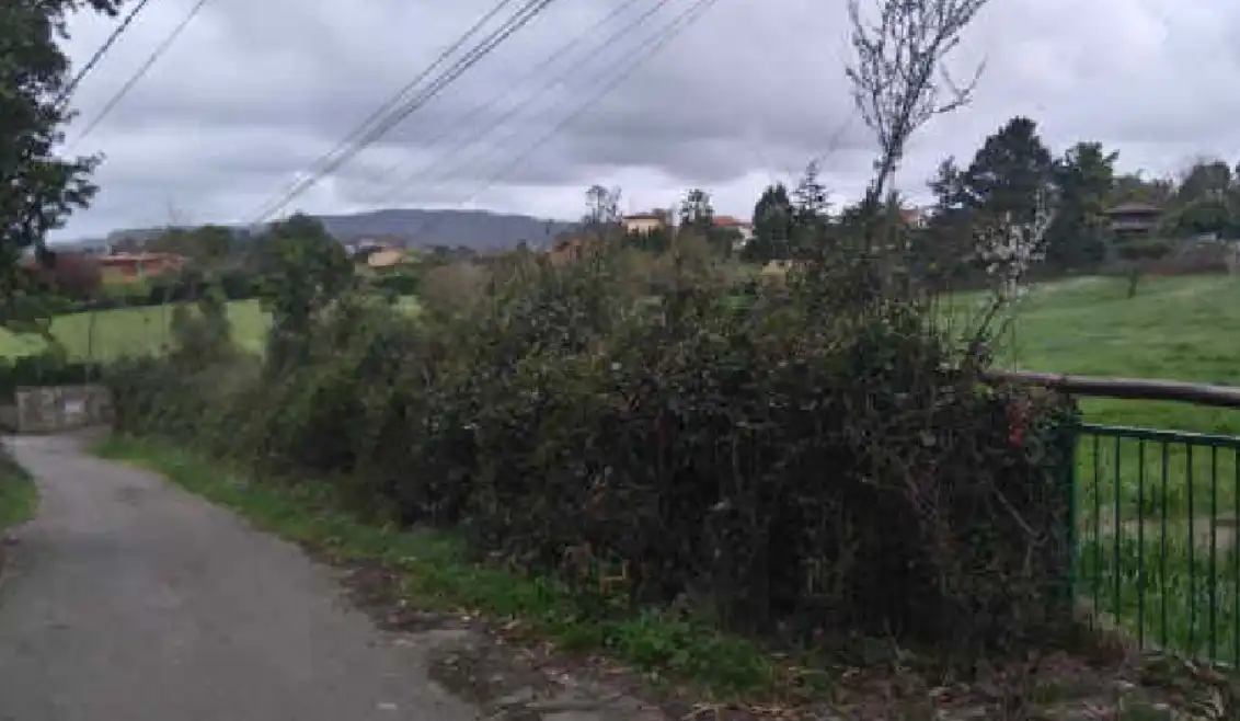 Terrenos y solares en venta en LA CORIA 177, imagen 7